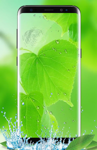 Green Leaf Live Wallpaper HD – Apps on Google Play