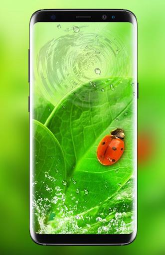 Green Leaf Live Wallpaper HD - عکس برنامه موبایلی اندروید