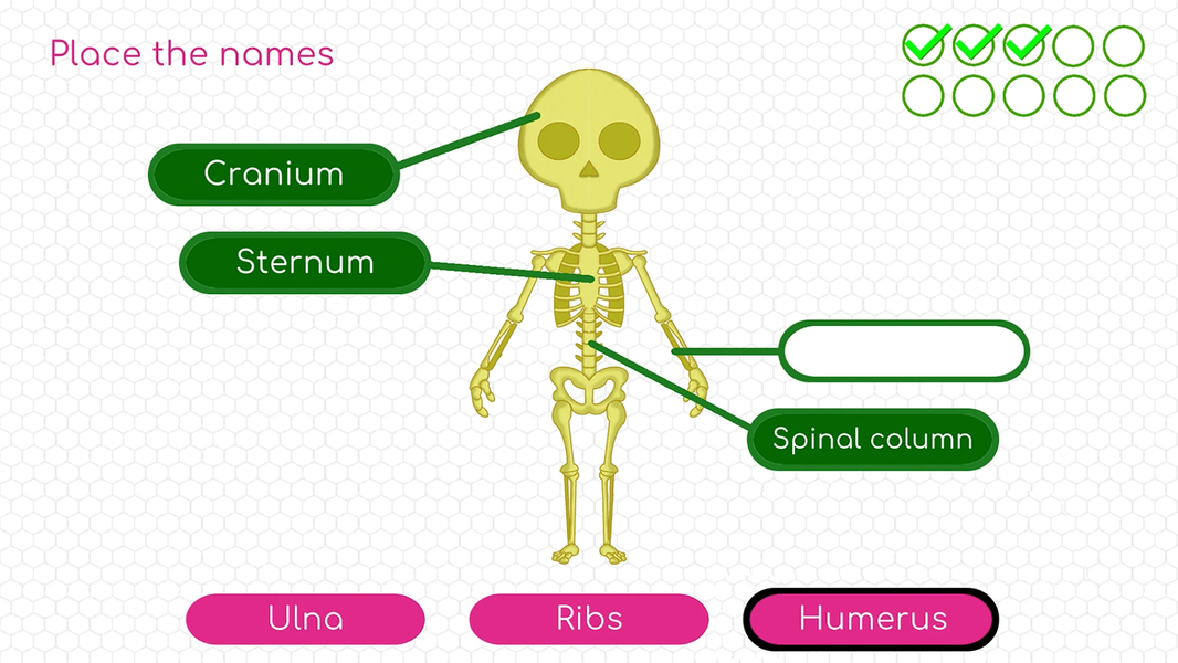 Human body adventure for kids - عکس بازی موبایلی اندروید