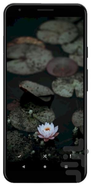 flowerwallpaper | تصاویر زمینه گل - عکس برنامه موبایلی اندروید
