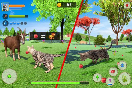 Cat Family Simulator: Life of Wild Cat - Gameplay image of android game