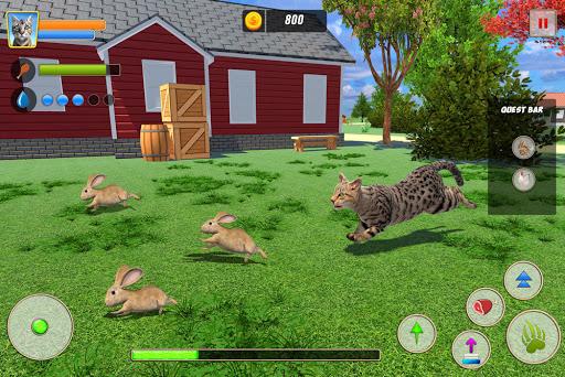 Cat Family Simulator: Life of Wild Cat - Gameplay image of android game