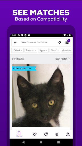 Petfinder - Adopt a Pet - عکس برنامه موبایلی اندروید