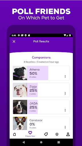 Petfinder - Adopt a Pet - عکس برنامه موبایلی اندروید