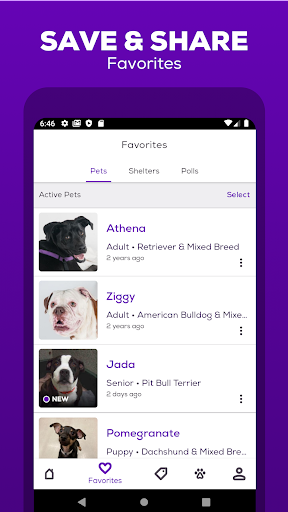 Petfinder - Adopt a Pet - عکس برنامه موبایلی اندروید