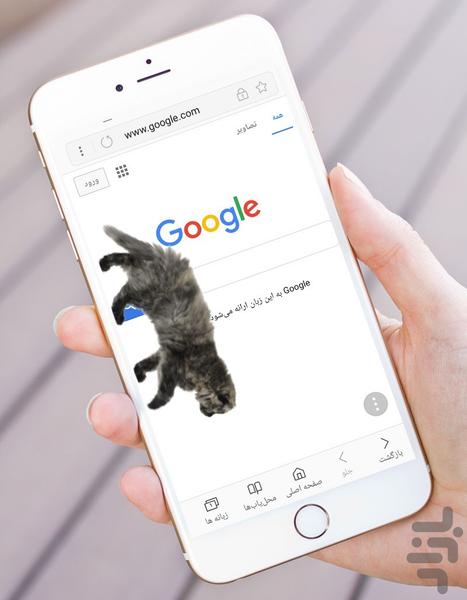 گربه روی صفحه زنده - Image screenshot of android app