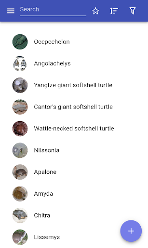 Turtles - Image screenshot of android app