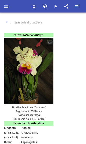 Houseplants - عکس برنامه موبایلی اندروید