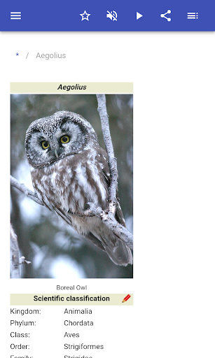 Owls - عکس برنامه موبایلی اندروید