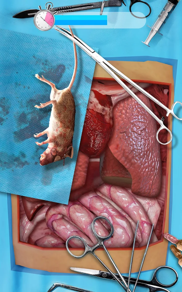 Doc Ragdoll Clinic Simulator - Gameplay image of android game