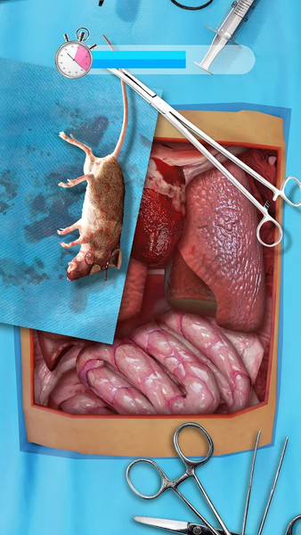 Doc Ragdoll Clinic Simulator - Gameplay image of android game