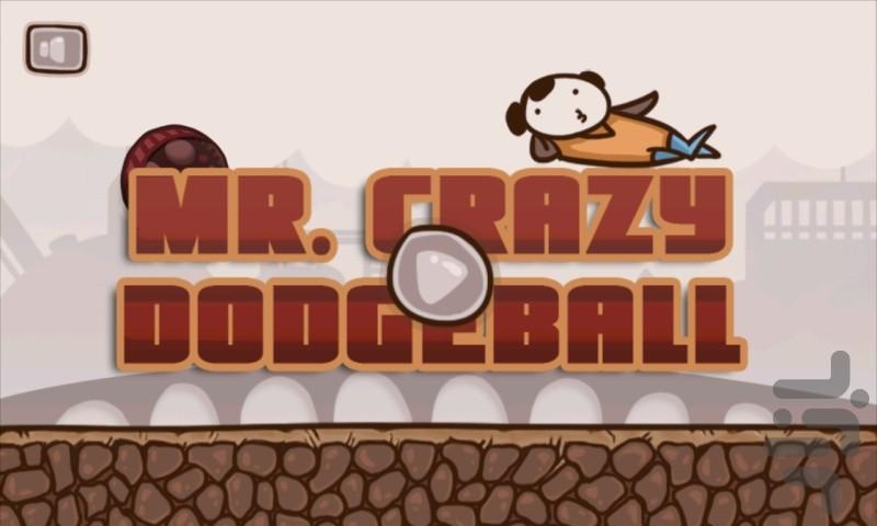 Mr. Crazy DodgeBall - Gameplay image of android game