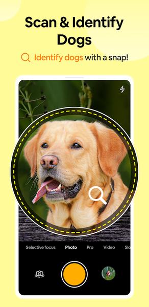 Dog Breed Scanner Dog Breed ID - Image screenshot of android app