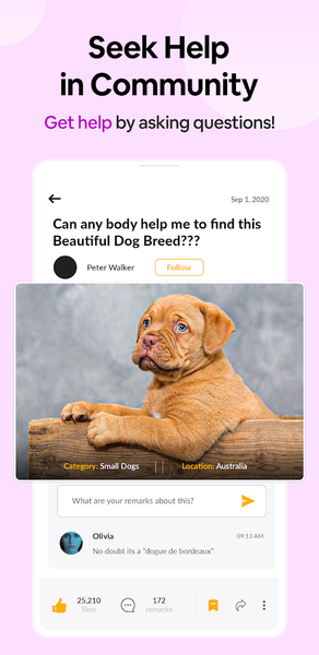 Dog Breed Scanner Dog Breed ID - Image screenshot of android app