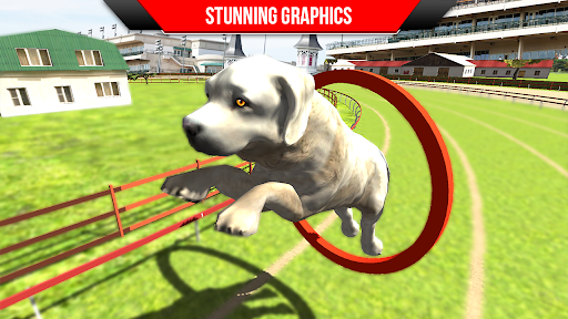 Dog Training: Dog Games - عکس بازی موبایلی اندروید