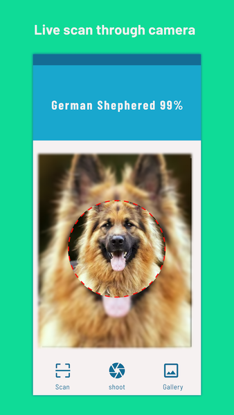 Identify Dog breeds -BreedSnap - عکس برنامه موبایلی اندروید