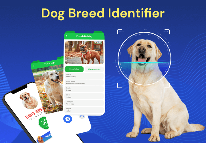 Dog Breed Identifier by Photo - عکس برنامه موبایلی اندروید