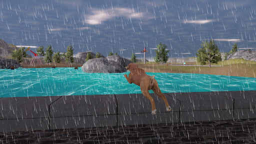 Boxer Dog Simulator 3D - Gameplay image of android game