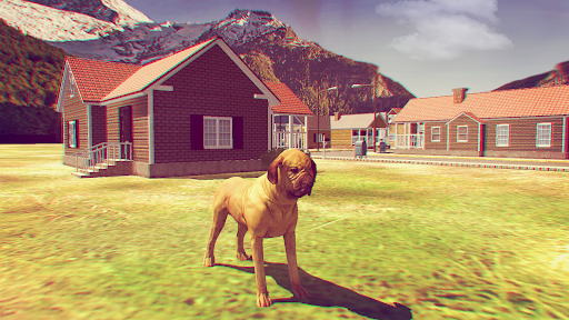 Fila Brasileiro Simulator - عکس بازی موبایلی اندروید