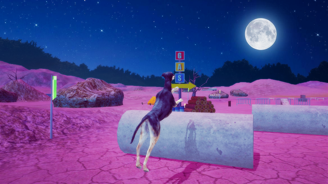 Greyhound Simulator - Gameplay image of android game