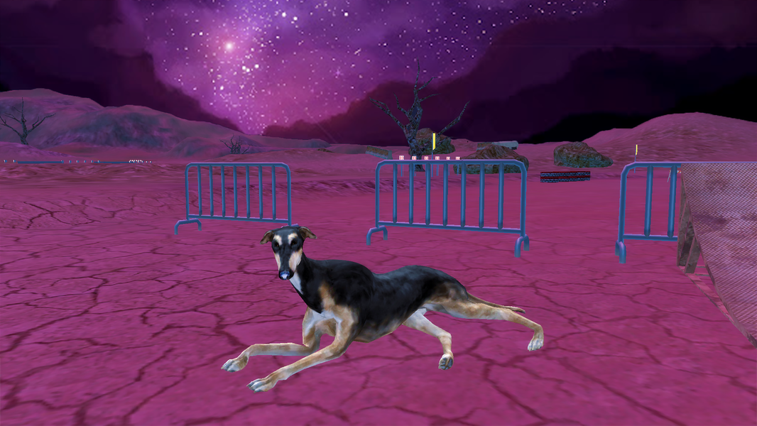Greyhound Simulator - Gameplay image of android game