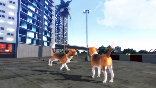 Beagle Dog Simulator 3D - Gameplay image of android game
