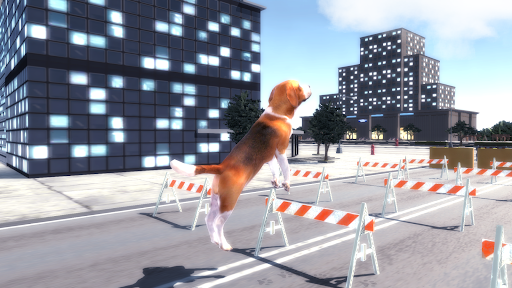 Beagle Dog Simulator 3D - Gameplay image of android game