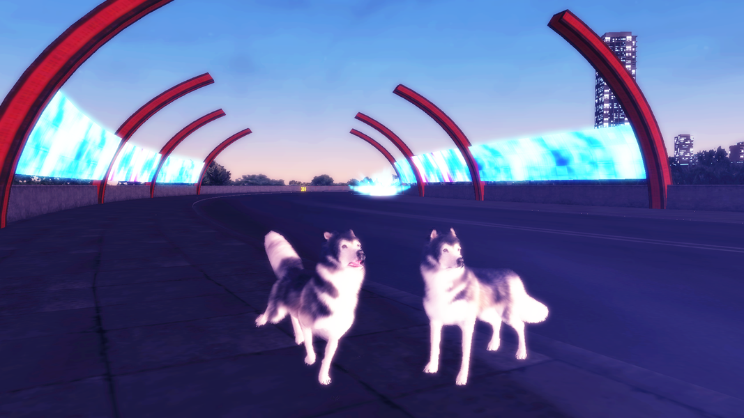Husky Simulator - Gameplay image of android game