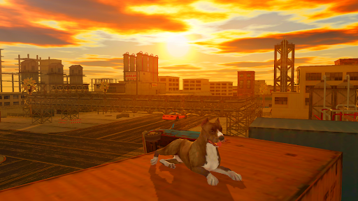 Pitbull Simulator - عکس بازی موبایلی اندروید