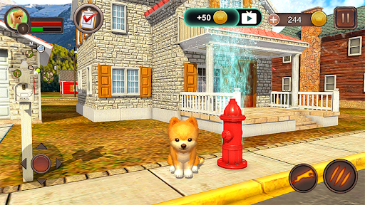 Pomeranian Simulator - Gameplay image of android game