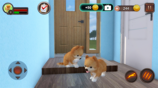 Pomeranian Simulator - Gameplay image of android game