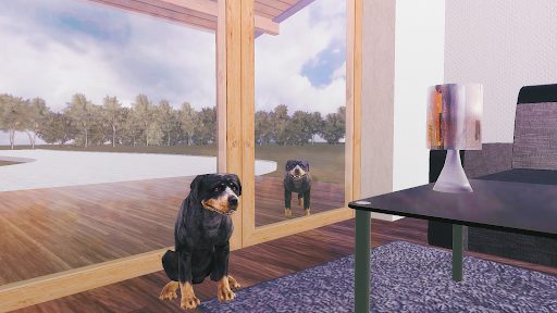 Rottweiler Dog Simulator - Gameplay image of android game