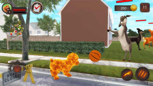 Teddy Dog Simulator - عکس برنامه موبایلی اندروید