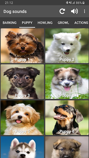 Dog Sounds - Image screenshot of android app