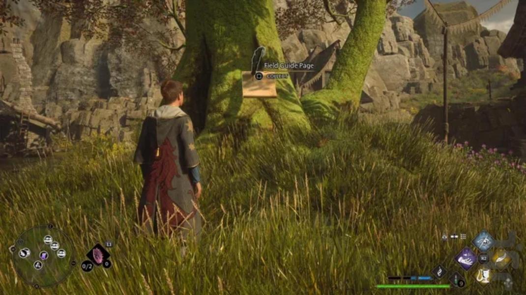 میراث هاگوارتز (غیر رسمی) - Gameplay image of android game