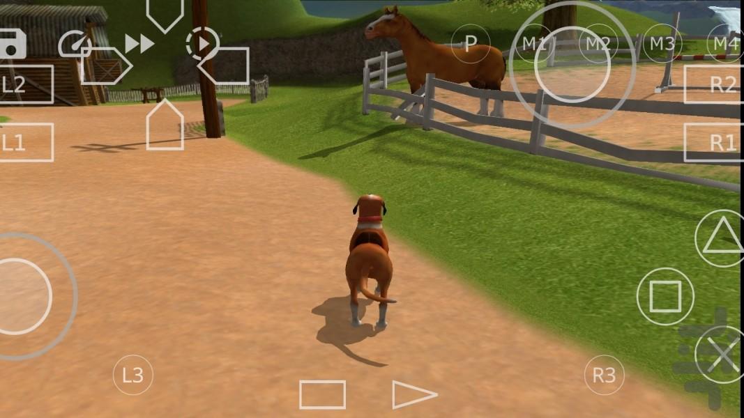 زندگی سگ (غیر رسمی) - عکس بازی موبایلی اندروید