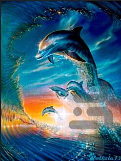 پس زمینه زنده دلفین ها - عکس برنامه موبایلی اندروید