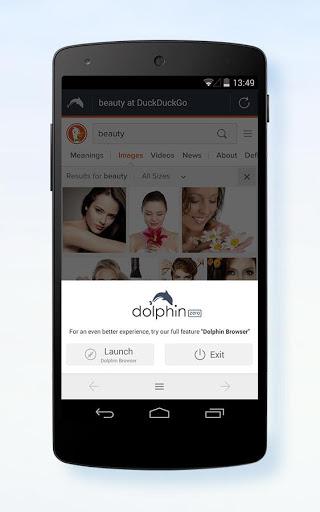 Dolphin Zero Incognito Browser - Image screenshot of android app