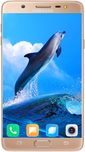 Dolphin Wallpaper HD - Image screenshot of android app