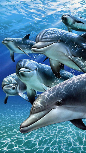 Dolphins Digital Art 4k, HD Artist, 4k Wallpapers, Images, Backgrounds,  Photos and Pictures