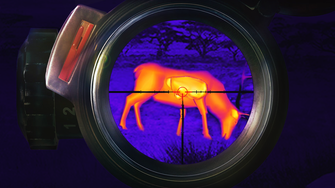 Wild Hunter: Deer Hunting Game - Gameplay image of android game