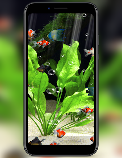 Aquarium ۳D Live Wallpaper - عکس برنامه موبایلی اندروید