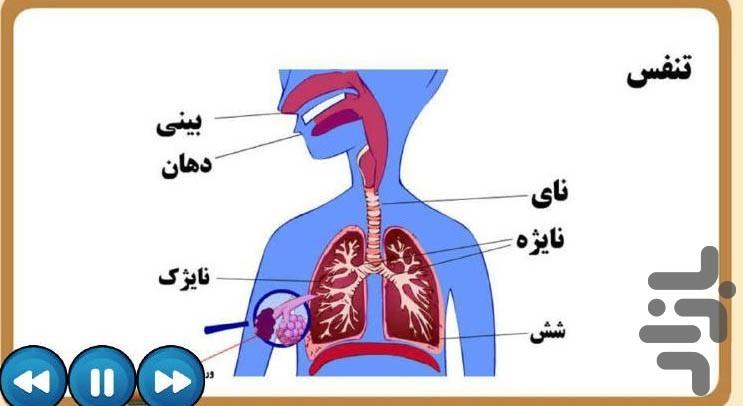 آموزش علوم چهارم ابتدایی دبستانیها - عکس برنامه موبایلی اندروید