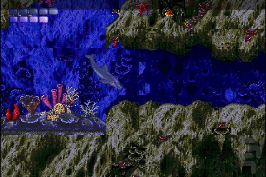 دلفینی سگا - عکس بازی موبایلی اندروید