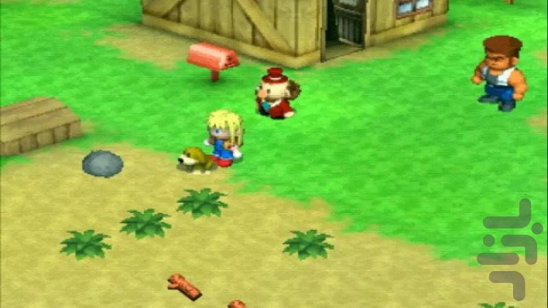 مزرعه داران پسر و دختر - عکس بازی موبایلی اندروید