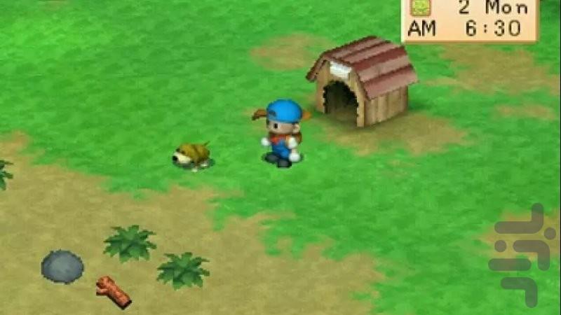 Harvest Moon Boy and Girl - Gameplay image of android game