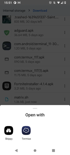 Skippy — Execute Scripts - Image screenshot of android app