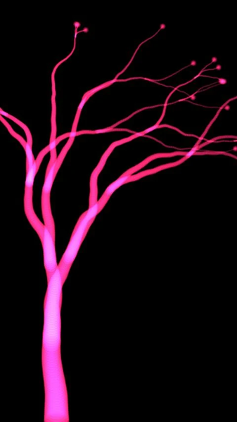 Draw art of plasma trees color - Image screenshot of android app