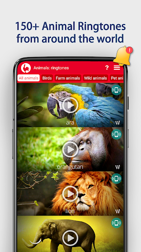 Animals: Ringtones - Image screenshot of android app