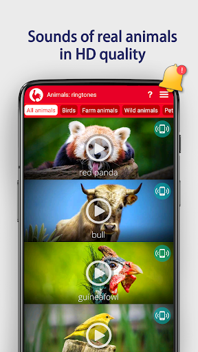 Animals: Ringtones – صدای حیوانات برای زنگ موبایل - عکس برنامه موبایلی اندروید